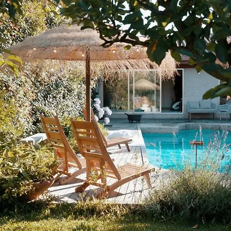 Countryside Near Porto Vila