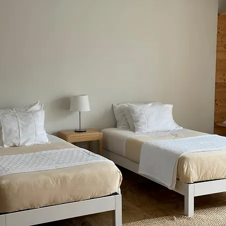 Vila Countryside Near Porto Paredes (Porto)