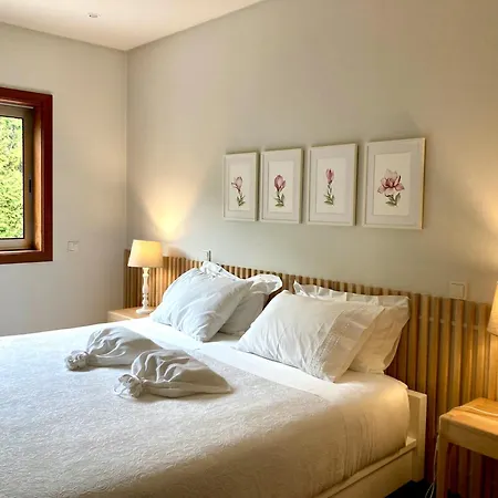 Countryside Near Porto * Paredes (Porto)