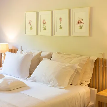 Countryside Near Porto