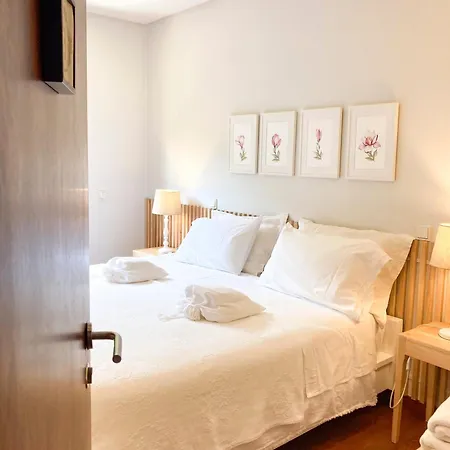 Countryside Near Porto Vila