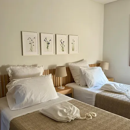 Countryside Near Porto Vila *