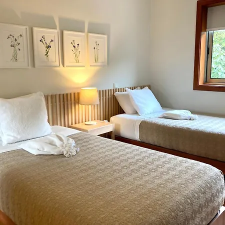 Vila Countryside Near Porto *