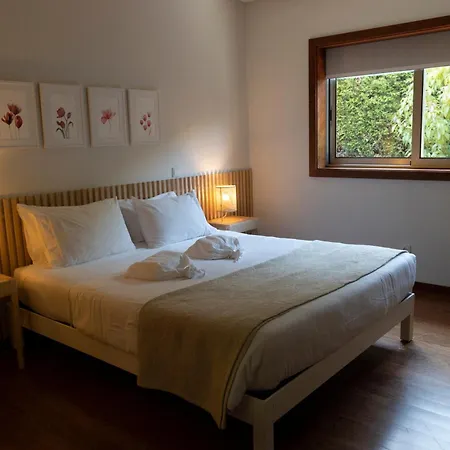 Countryside Near Porto