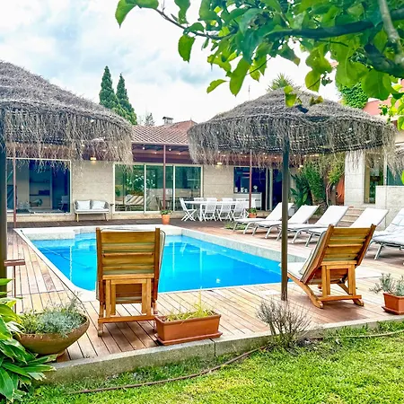 Countryside Near Porto Paredes (Porto)