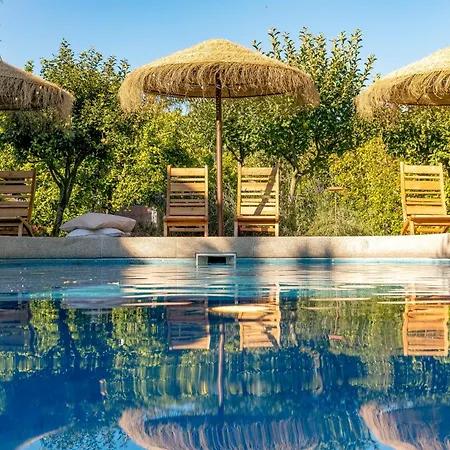 Countryside Near Porto