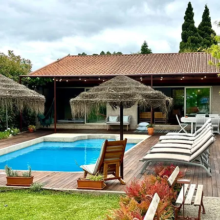 Villa Countryside Near Porto Paredes (Porto)