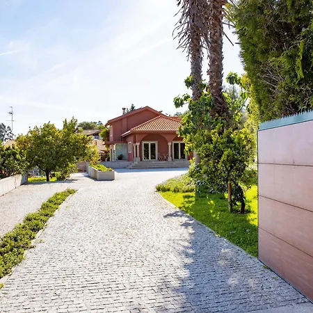 Countryside Near Porto Paredes (Porto)